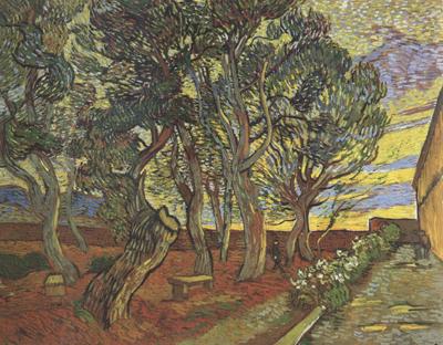 Vincent Van Gogh The Garden of Saint-Paul Hospital (nn04) oil painting picture